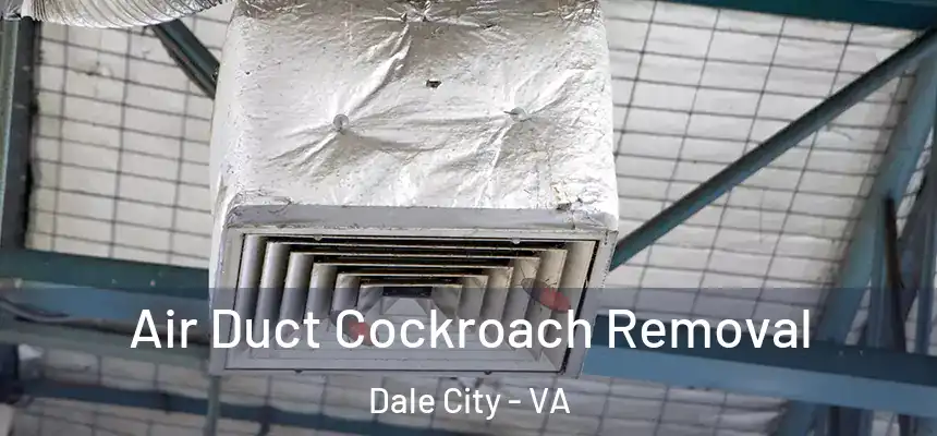 Air Duct Cockroach Removal Dale City - VA