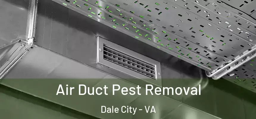 Air Duct Pest Removal Dale City - VA