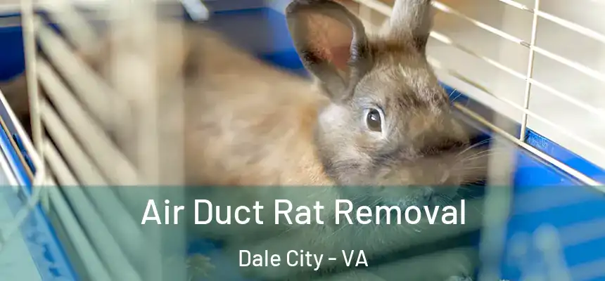 Air Duct Rat Removal Dale City - VA