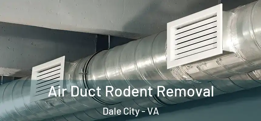 Air Duct Rodent Removal Dale City - VA