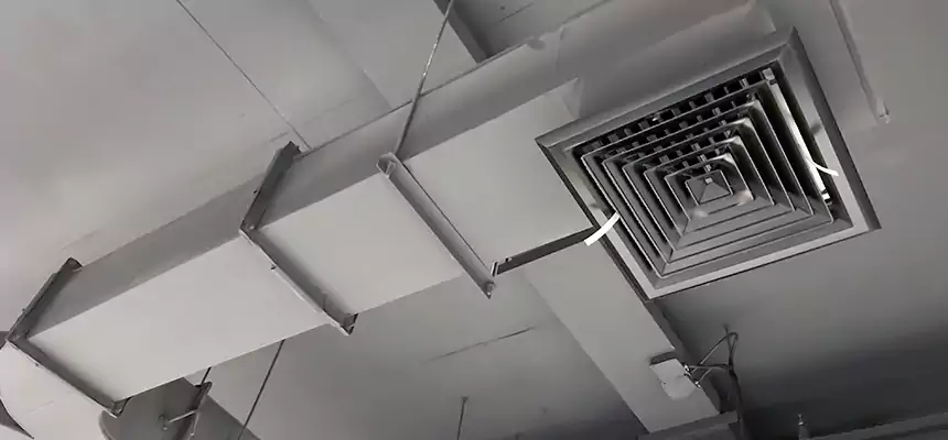 Restorative Allergy Relief Vent Cleaning – Coil, Blower & Housing Detail in Dale City