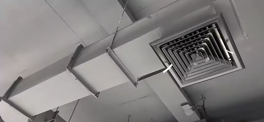 Our Pest Removal From Ducts Services in Dale City, VA