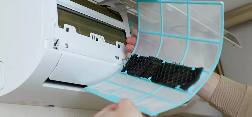 Gentle Ductwork Odor-Control Pet Dander Duct Cleaning in Dale City, VA