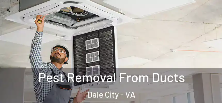 Pest Removal From Ducts Dale City - VA