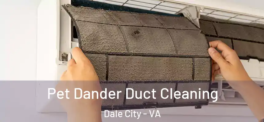 Pet Dander Duct Cleaning Dale City - VA