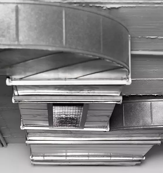 Professional Air Duct Pest Removal in Dale City, VA