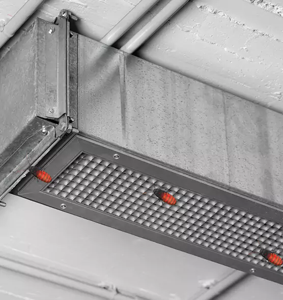 Affordable Insect Removal from Air Ducts in Dale City, VA