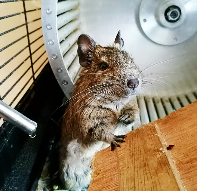 Why Homeowners & Businesses Trust Us Dale City, VA?