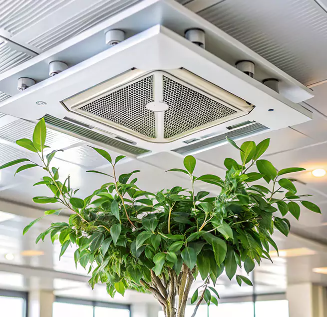 Why Homeowners & Businesses Trust Us in Dale City, VA