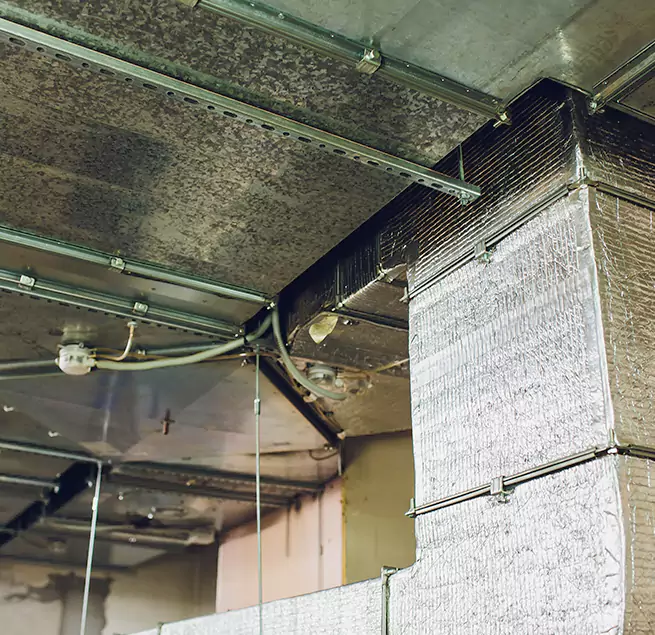 Why Homeowners & Businesses Trust Us in Dale City, VA?